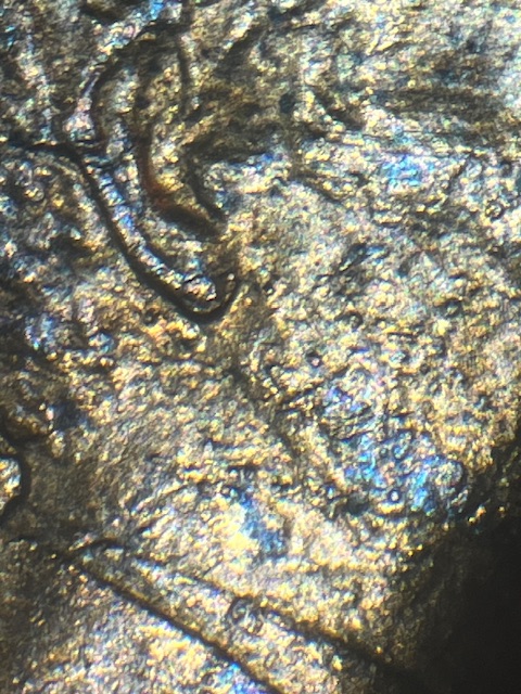Lincoln-Memorial-Cent-1988-D--Normal-Ear-?-Or-?